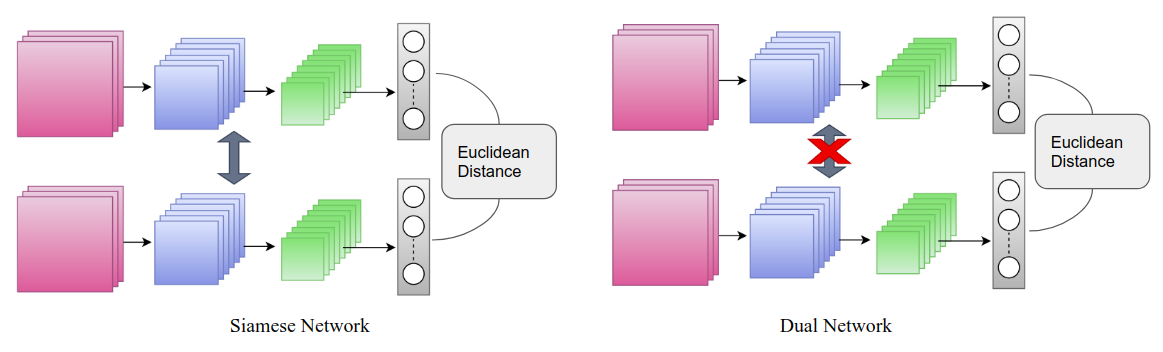 siamese-dual